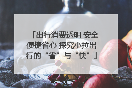出行消费透明 安全便捷省心 探究小拉出行的“省”与“快”