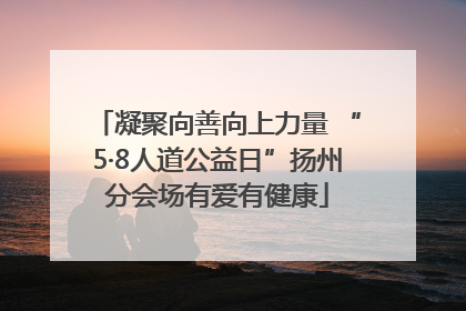 凝聚向善向上力量 “5·8人道公益日”扬州分会场有爱有健康