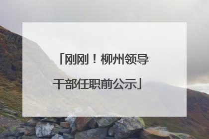 刚刚！柳州领导干部任职前公示