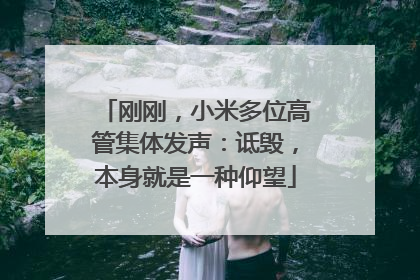 刚刚，小米多位高管集体发声：诋毁，本身就是一种仰望