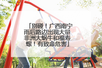 别碰！广西南宁雨后路边出现大量非洲大蜗牛和福寿螺！有致命危害