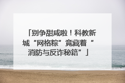 别争甜咸啦！科教新城“网格粽”竟藏着“消防与反诈秘籍”