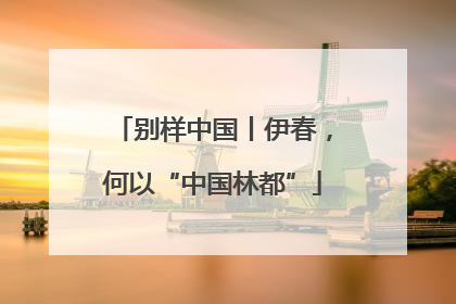 别样中国丨伊春，何以“中国林都”