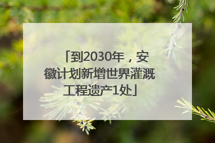 到2030年，安徽计划新增世界灌溉工程遗产1处
