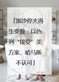 加沙停火再生变数：以色列“接受”美方案、哈马斯不认可