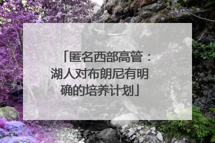 匿名西部高管：湖人对布朗尼有明确的培养计划