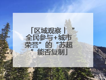 区域观察丨“全民参与+城市荣誉”的“苏超”能否复制