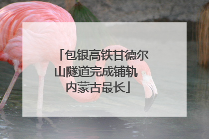包银高铁甘德尔山隧道完成铺轨 内蒙古最长