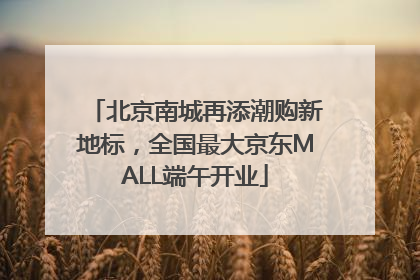 北京南城再添潮购新地标，全国最大京东MALL端午开业