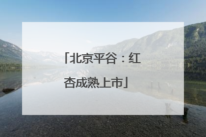 北京平谷：红杏成熟上市