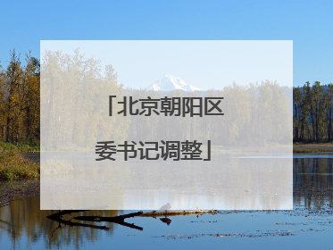 北京朝阳区委书记调整