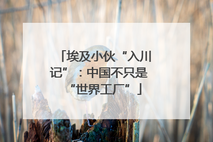埃及小伙“入川记”：中国不只是“世界工厂”
