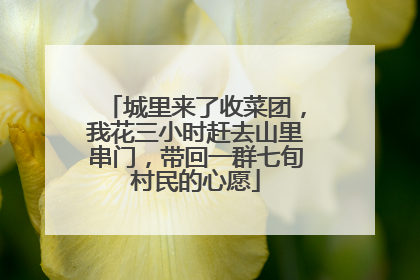 城里来了收菜团，我花三小时赶去山里串门，带回一群七旬村民的心愿