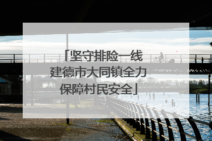 坚守排险一线 建德市大同镇全力保障村民安全
