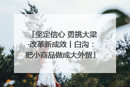 坚定信心 勇挑大梁·改革新成效丨白沟：把小商品做成大外贸