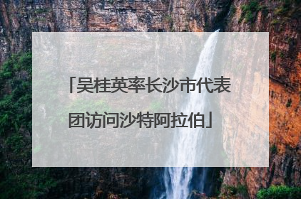 吴桂英率长沙市代表团访问沙特阿拉伯