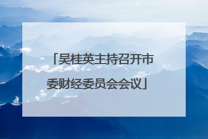 吴桂英主持召开市委财经委员会会议