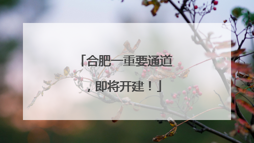 合肥一重要通道，即将开建！