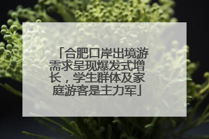 合肥口岸出境游需求呈现爆发式增长，学生群体及家庭游客是主力军