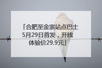 合肥至金寨站点巴士5月29日首发，开线体验价29.9元