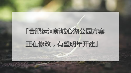 合肥运河新城心湖公园方案正在修改，有望明年开建