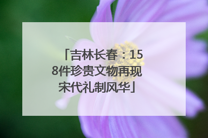 吉林长春：158件珍贵文物再现宋代礼制风华