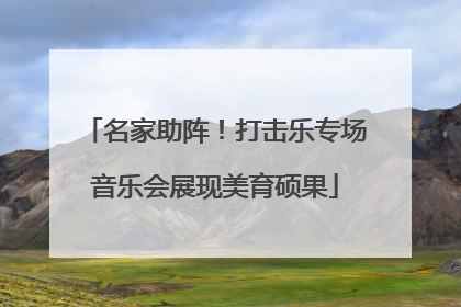 名家助阵！打击乐专场音乐会展现美育硕果