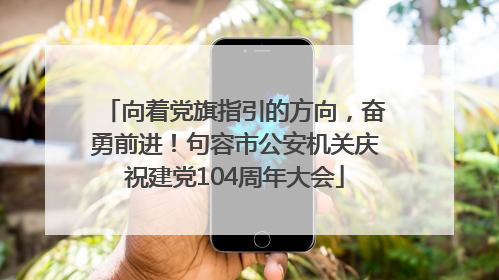 向着党旗指引的方向，奋勇前进！句容市公安机关庆祝建党104周年大会