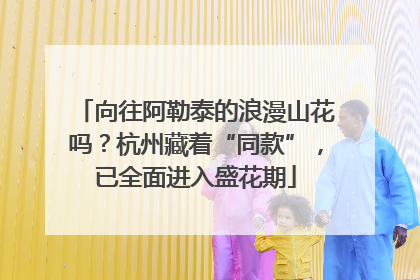 向往阿勒泰的浪漫山花吗？杭州藏着“同款”，已全面进入盛花期