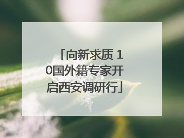向新求质 10国外籍专家开启西安调研行