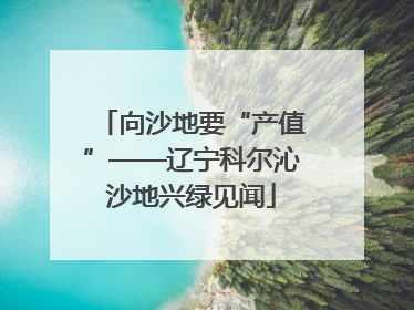 向沙地要“产值”——辽宁科尔沁沙地兴绿见闻