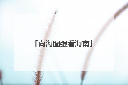 向海图强看海南