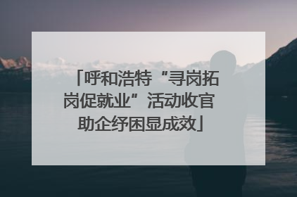 呼和浩特“寻岗拓岗促就业”活动收官 助企纾困显成效