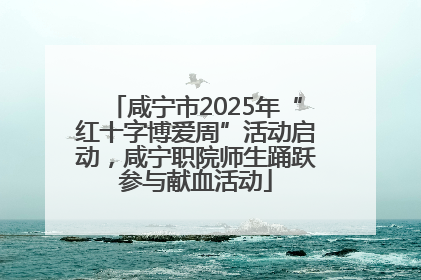 咸宁市2025年“红十字博爱周”活动启动，咸宁职院师生踊跃参与献血活动