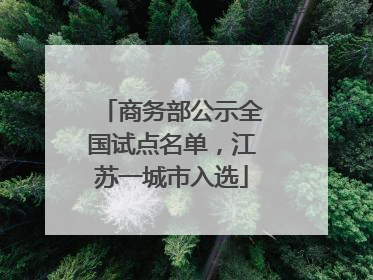 商务部公示全国试点名单，江苏一城市入选