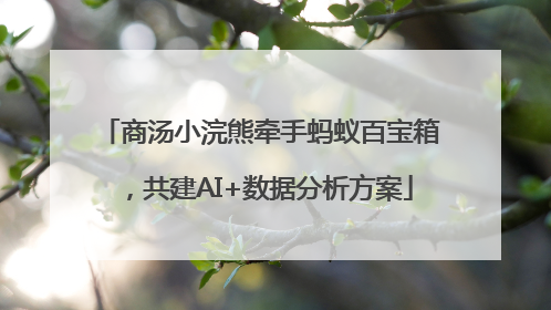 商汤小浣熊牵手蚂蚁百宝箱，共建AI+数据分析方案