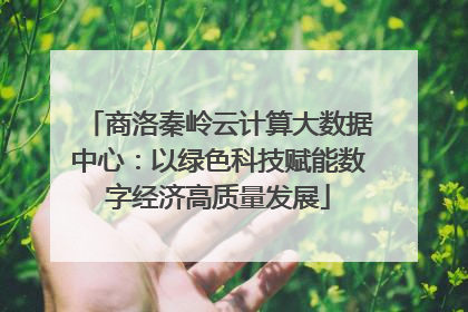 商洛秦岭云计算大数据中心：以绿色科技赋能数字经济高质量发展