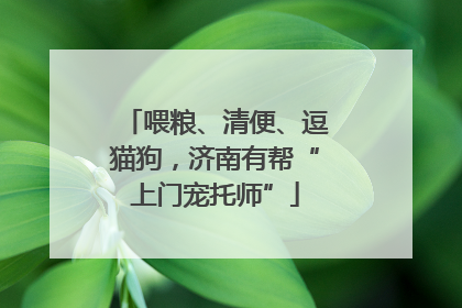 喂粮、清便、逗猫狗，济南有帮“上门宠托师”
