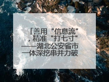 善用“信息流”，精准“打七寸”——湖北公安省市一体深挖串并力破民生案