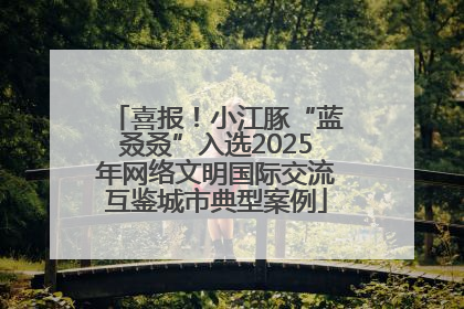 喜报！小江豚“蓝叒叒”入选2025年网络文明国际交流互鉴城市典型案例