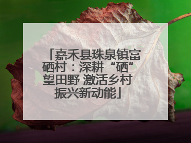 嘉禾县珠泉镇富硒村：深耕“硒”望田野 激活乡村振兴新动能