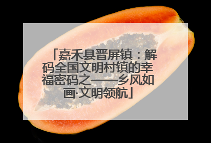 嘉禾县晋屏镇：解码全国文明村镇的幸福密码之——乡风如画·文明领航