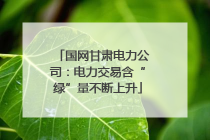 国网甘肃电力公司：电力交易含“绿”量不断上升