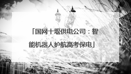 国网十堰供电公司：智能机器人护航高考保电