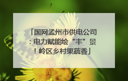 国网孟州市供电公司：电力赋能绘“丰”景！岭区乡村果蔬香