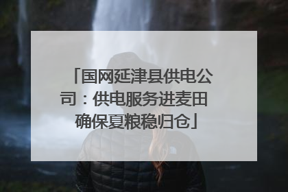 国网延津县供电公司：供电服务进麦田 确保夏粮稳归仓