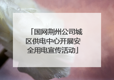 国网荆州公司城区供电中心开展安全用电宣传活动