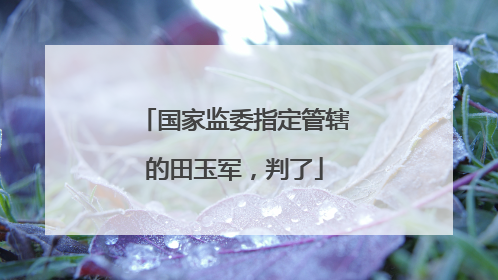 国家监委指定管辖的田玉军，判了