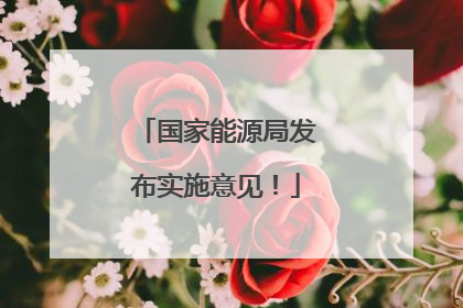 国家能源局发布实施意见！