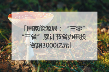 国家能源局：“三零”“三省”累计节省办电投资超3000亿元